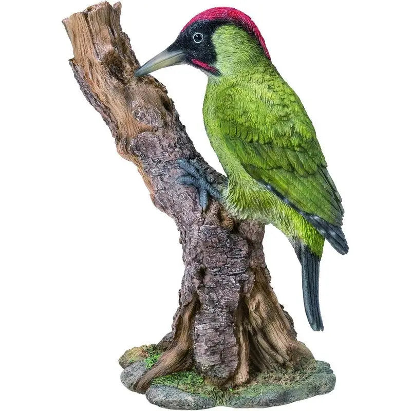 Vivid Arts Wild Bird Care Green - Woodpecker - Giftware