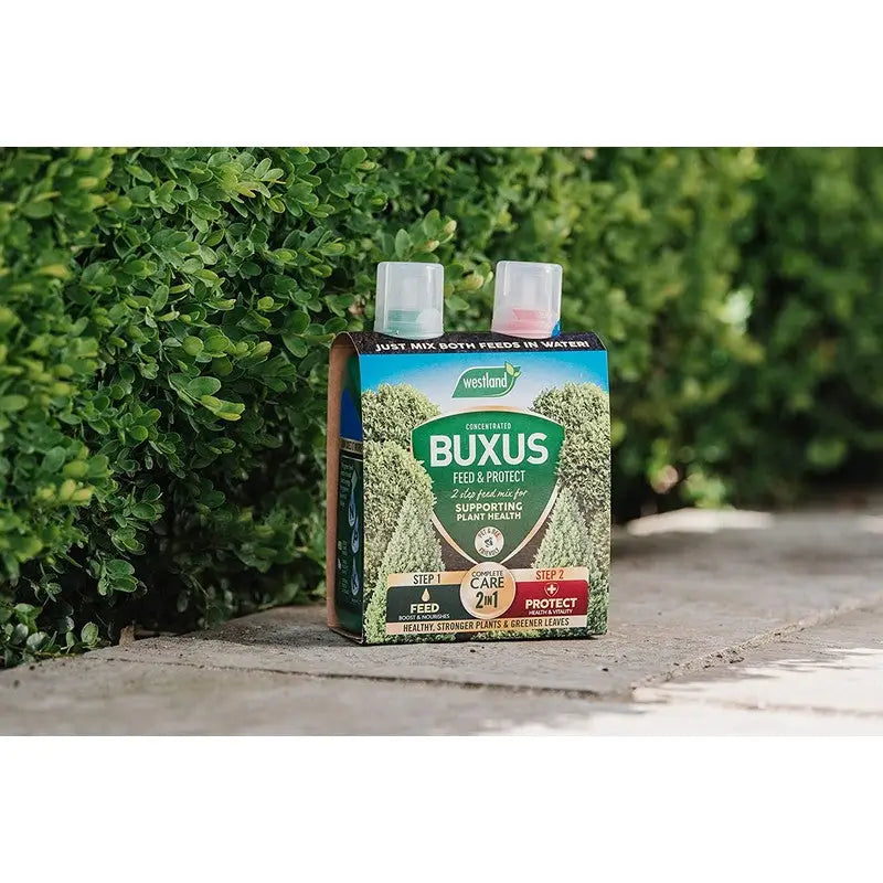Westland 2 In1 Feed And Protect Concentrate Buxus - 2 X