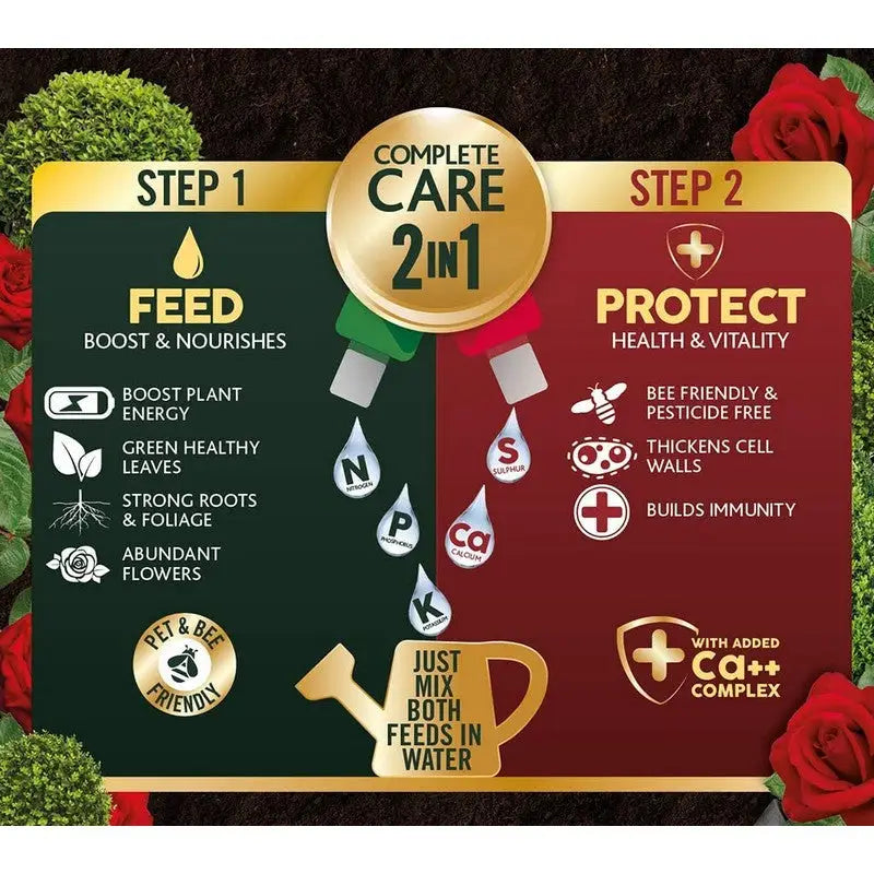 Westland 2 In1 Feed And Protect Concentrate Buxus - 2 X