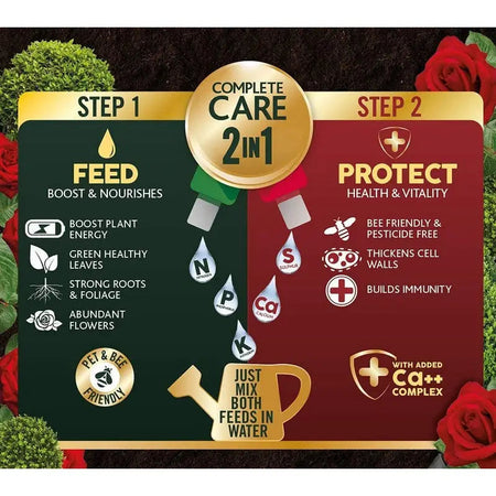 Westland 2 In1 Feed And Protect Concentrate Buxus - 2 X