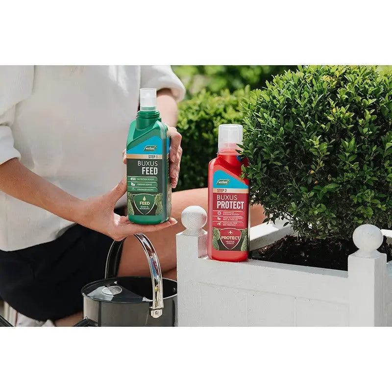 Westland 2 In1 Feed And Protect Concentrate Buxus - 2 X