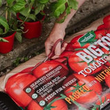 Westland Big Tom Tomato Planter Gro Bag (2 For 12) - Twin
