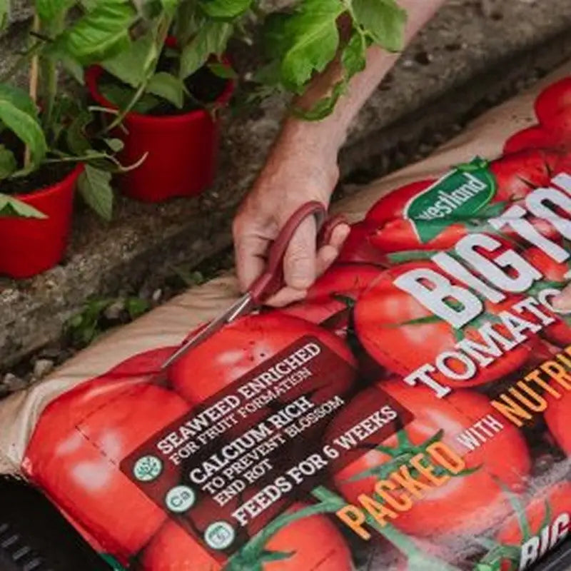 Westland Big Tom Tomato Planter Gro Bag (2 For 12) - Twin