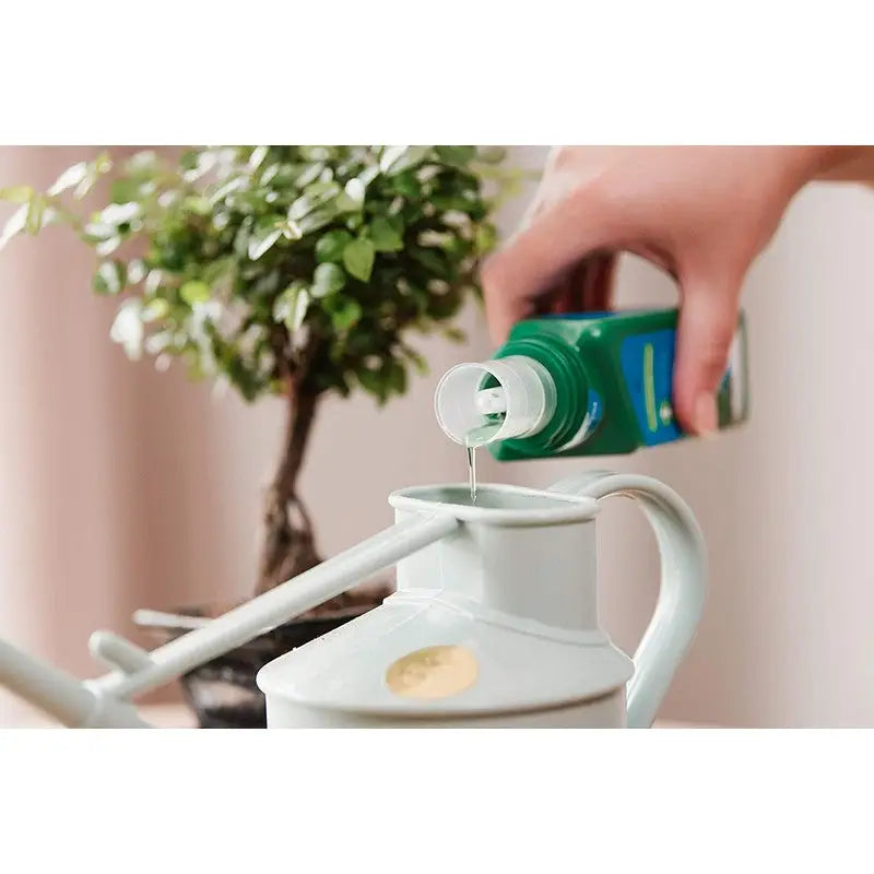 Westland Bonsai Feed Concentrate - 200Ml - Gardening &