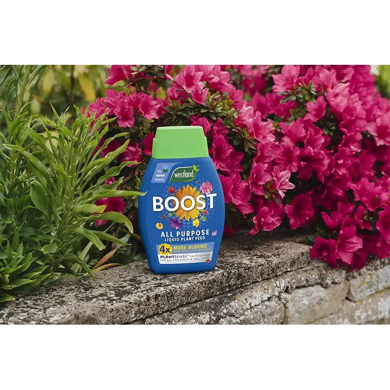 Westland Boost All Purpose Liquid Plant Food - Plant Food