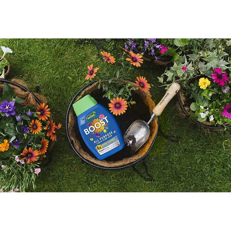 Westland Boost All Purpose Liquid Plant Food - Plant Food