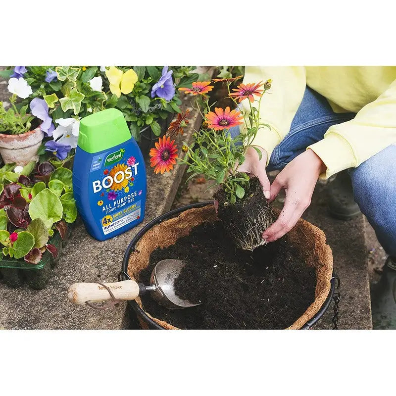 Westland Boost All Purpose Liquid Plant Food - Plant Food