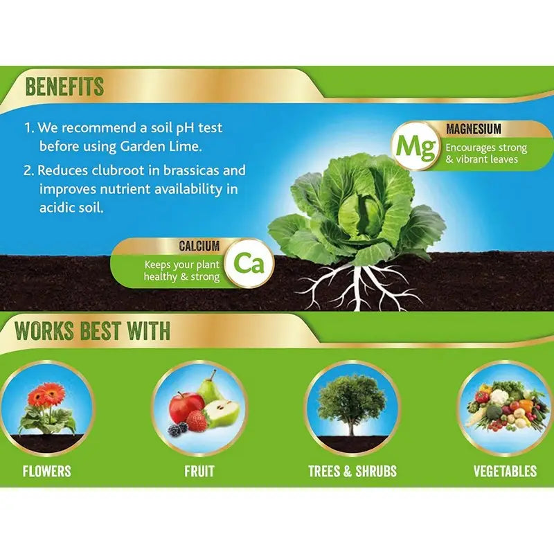 Westland Garden Lime Soil Conditioner - 4Kg Box - Gardening