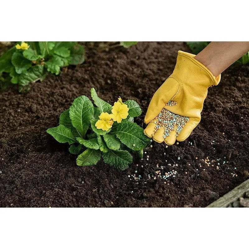 Westland Gro-Sure Slow Release All Purpose 6 Month Feed -