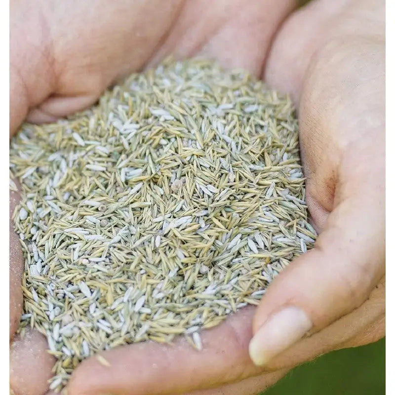 Westland Gro-Sure Smart Grass Seed Bag - 80m - 25m2 -