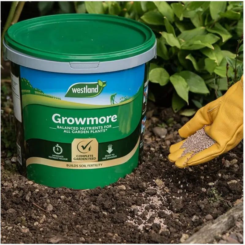 Westland Growmore For Garden Plants Tub - 8kg Gardening &