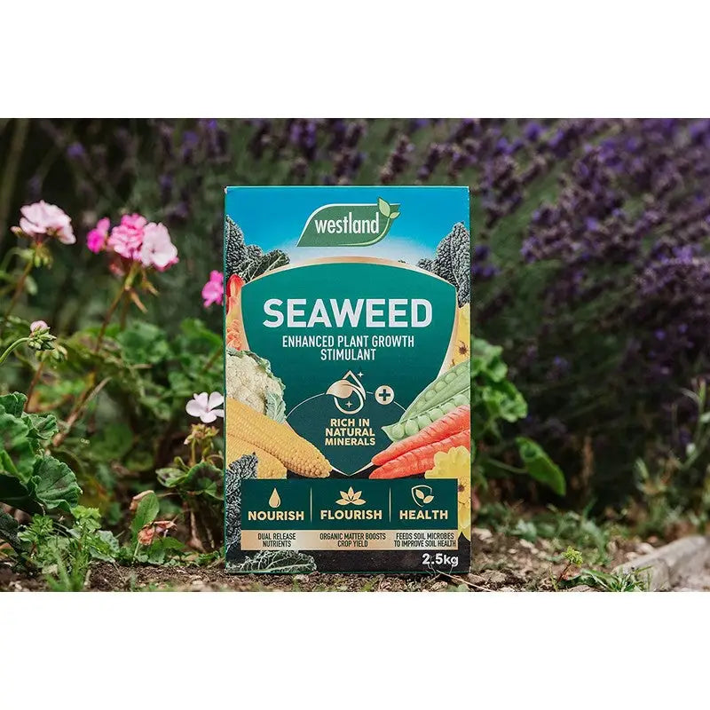 Westland Organic Liquid Seaweed Enhanced Box - 2.5Kg -