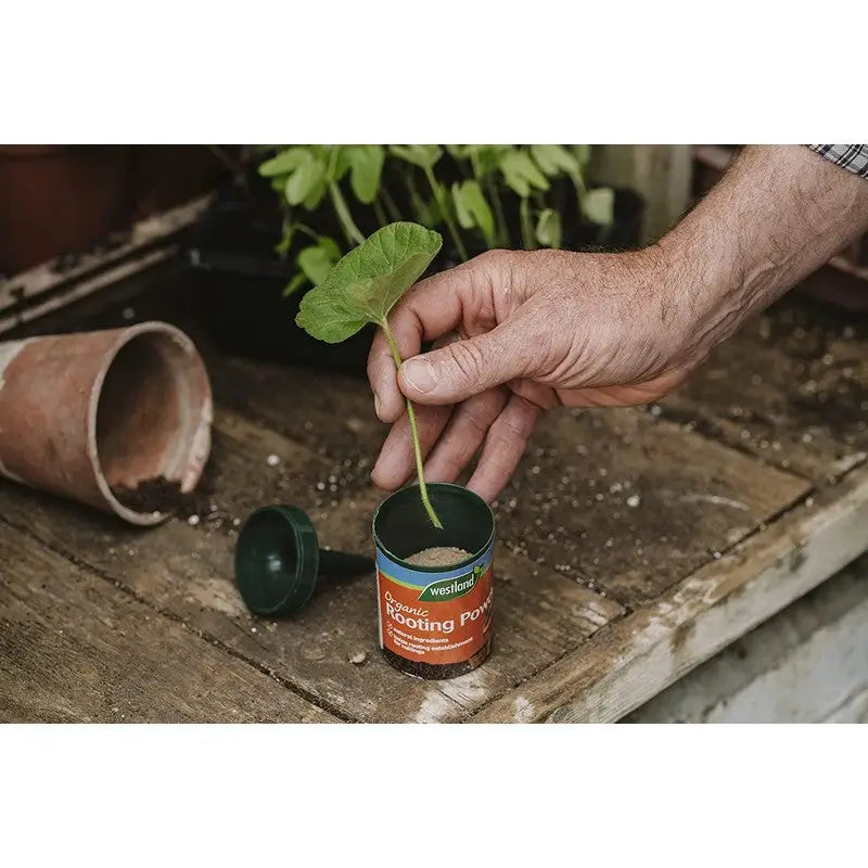 Westland Organic Rooting Powder - 100G - Gardening &