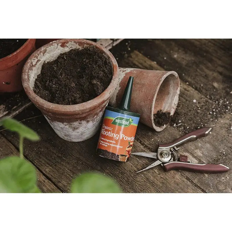 Westland Organic Rooting Powder - 100G - Gardening &
