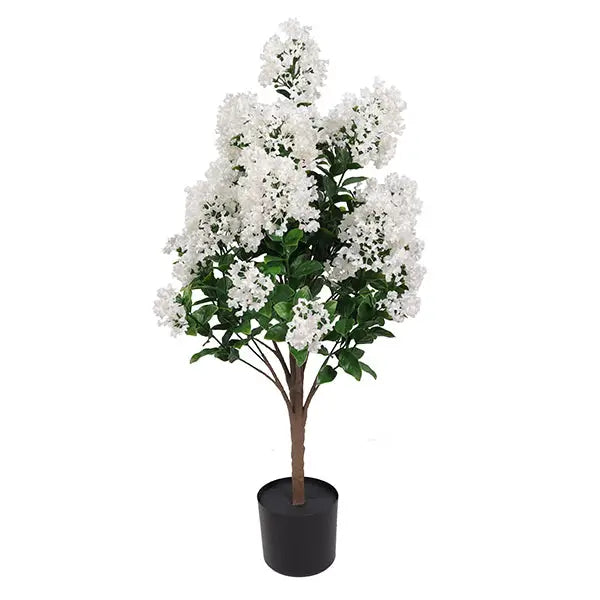 White Lilac in Pot Outdoor - 90cm - Gardening & Outdoors