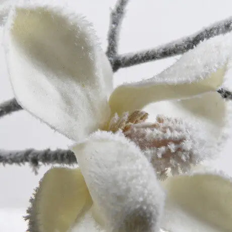 White Magnolia Spray With Snow - Christmas >> Decorations