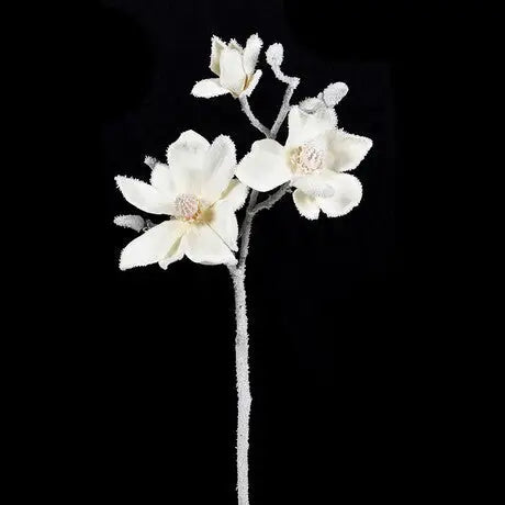 White Magnolia Spray With Snow - Christmas >> Decorations