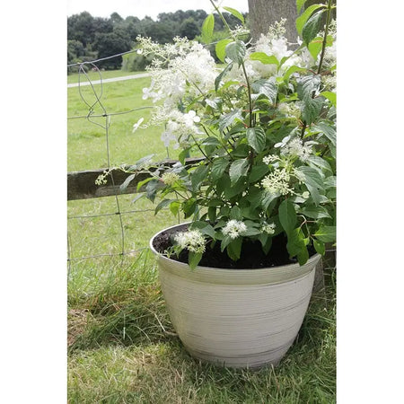 Woodlodge Featherlite Plain Feather Pot 15 Inch (38cm) -