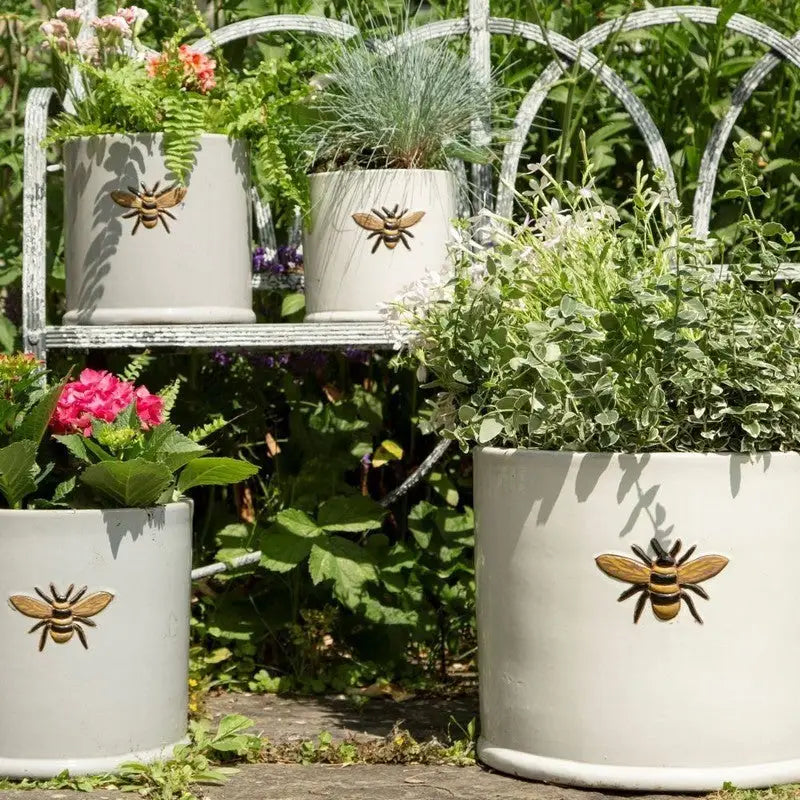 Woodlodge Wisteria Frostproof Ceramic Plant Pots - Pots &