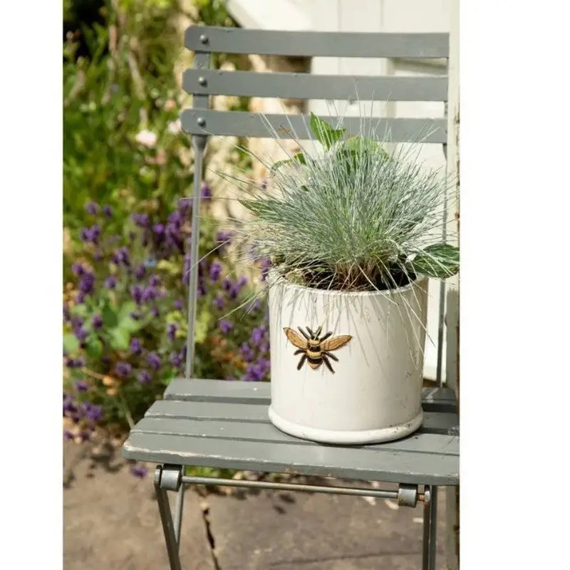 Woodlodge Wisteria Frostproof Ceramic Plant Pots - Pots &