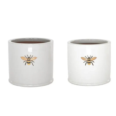 Woodlodge Wisteria Frostproof Ceramic Plant Pots - Pots &