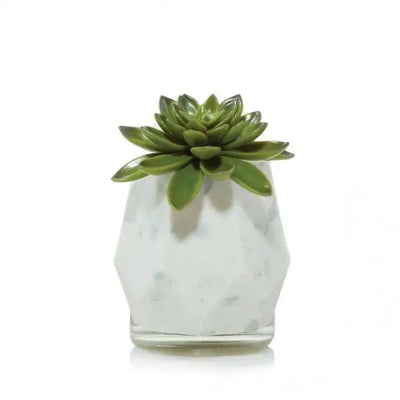 Yankee Candle Succulent Plug (Only) - Plug