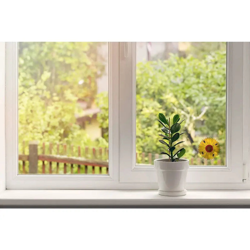 Zero in Floral Window Fly Traps Non-Toxic 3 Pack - Pest