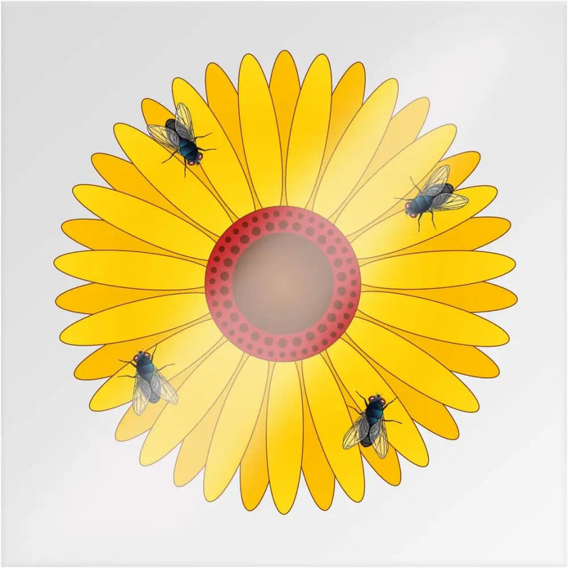 Zero in Floral Window Fly Traps Non-Toxic 3 Pack - Pest