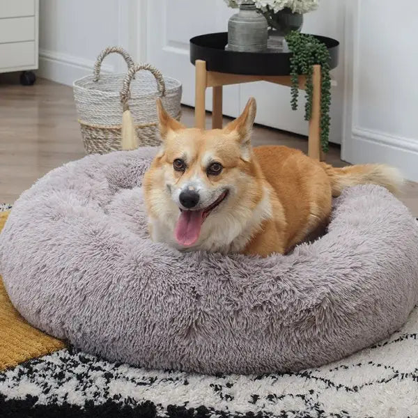 Zoon Calming Shaggy Faux Dog Bed - Silver - Large / X Large