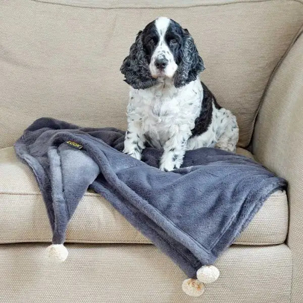 Zoon Head In The Clouds Comforter - Pet Care