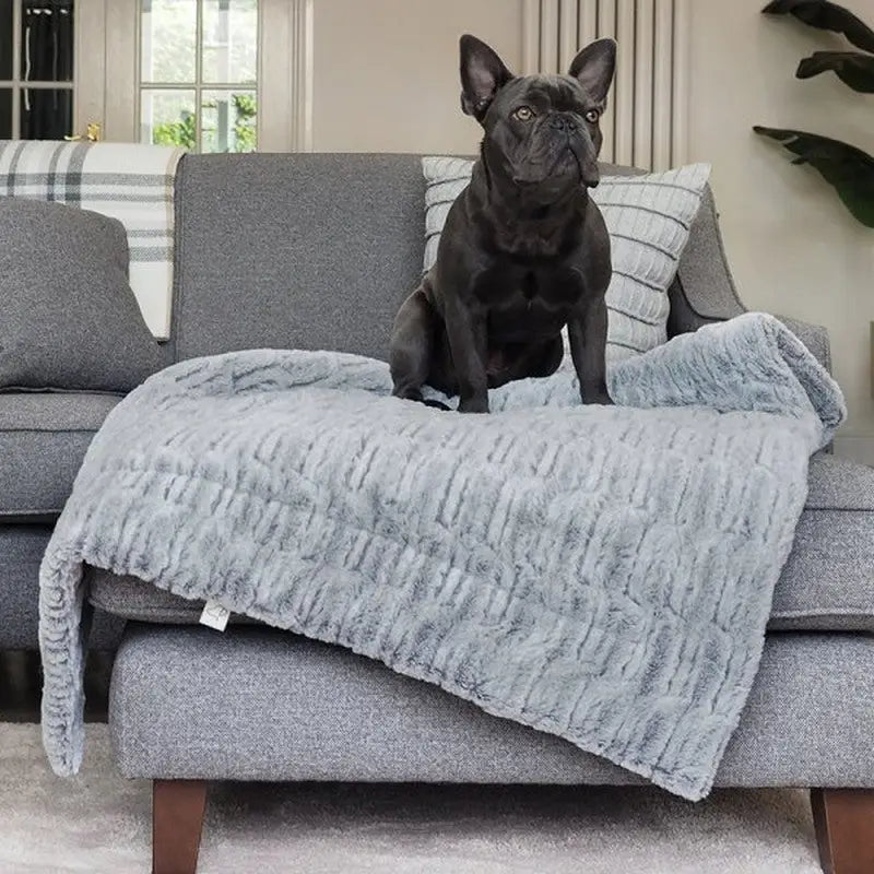 Zoon Komforter 70 x 100 cm - Dog Toys