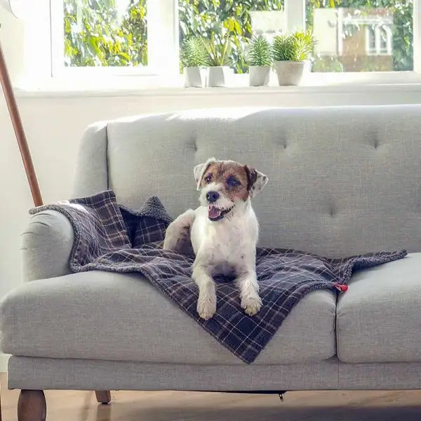 Zoon Plaid Comforter - 70 X 100cm - Pet Care